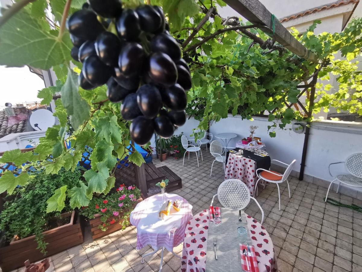 Mary'S Dream Bed & Breakfast Manoppello Dış mekan fotoğraf