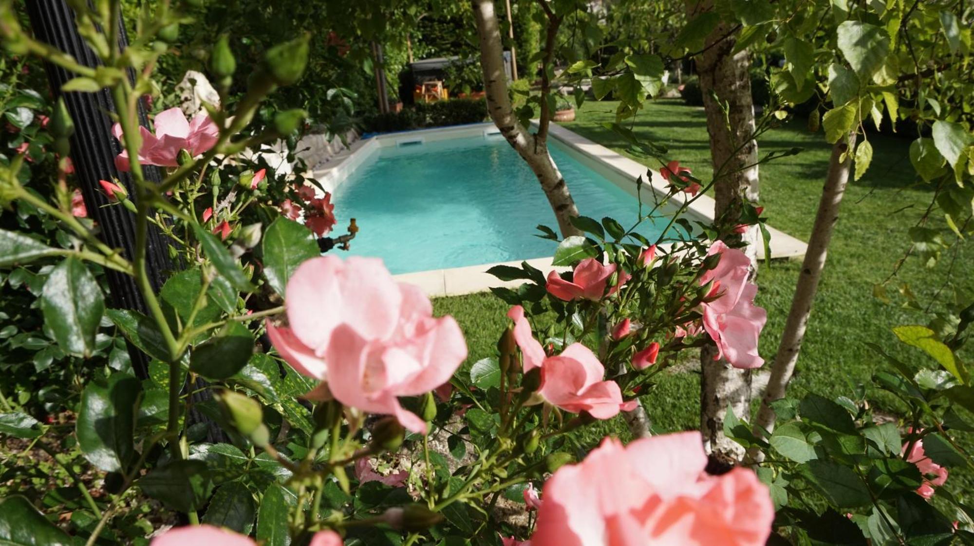 Mary'S Dream Bed & Breakfast Manoppello Dış mekan fotoğraf