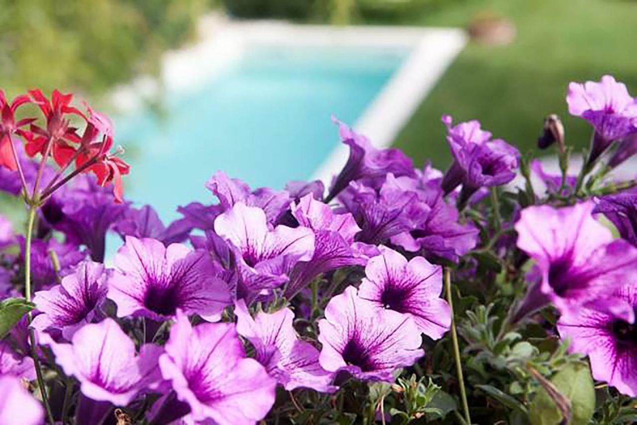 Mary'S Dream Bed & Breakfast Manoppello Dış mekan fotoğraf
